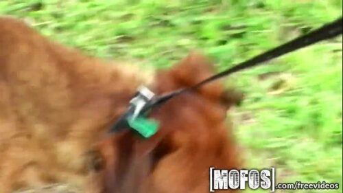 Gostosinha Chupando Rola